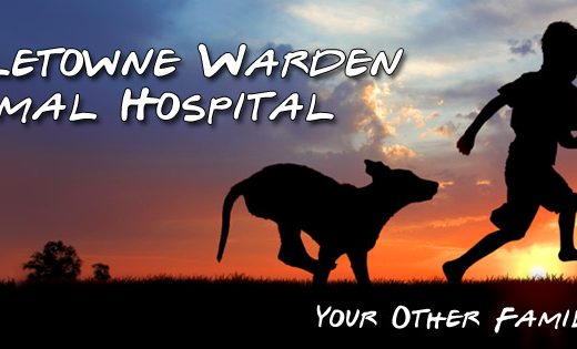 Bridletowne Warden Animal Hospital