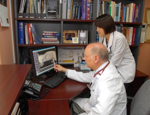 Bridletowne Warden Animal Hospital