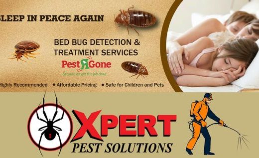 Pest R Gone – Pest Control North York