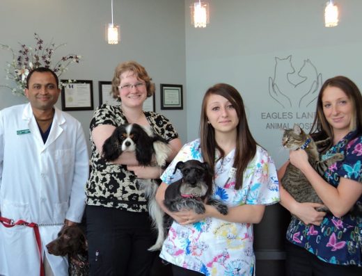 Eagles Landing Animal Hospital