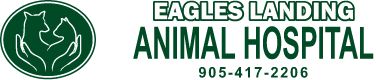 Eagles Landing Animal Hospital