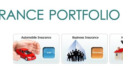 Insurance Portfolio