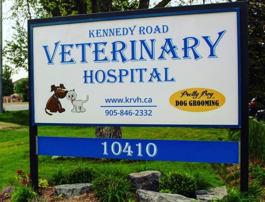 Kennedy Road Veterinary Hospital 