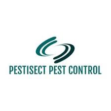 Pestisect Pest Control Brampton, Mississauga, Toronto