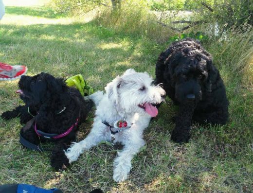 Making Life Simple For You 