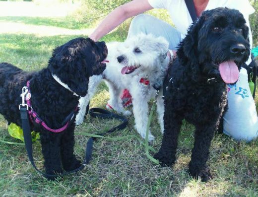 Making Life Simple For You 