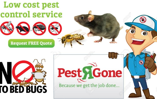 Pest R Gone – Pest Control North York