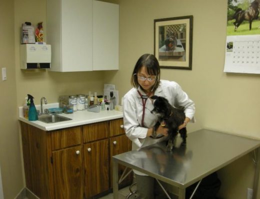 Parkdale Animal Hospital 