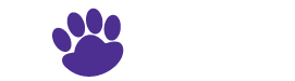Pawz ‘N Play