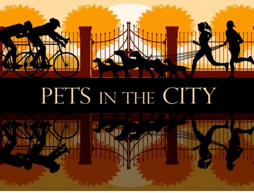 Pets In the City