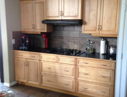 Platinum Pro Painters 