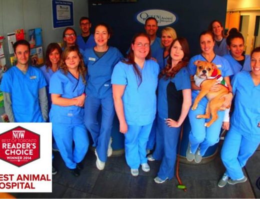 Queen West Animal Hospital