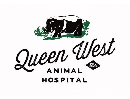 Queen West Animal Hospital