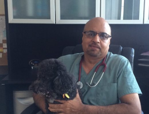 Rexdale Animal Hospital