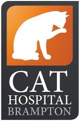 The Cat Hospital 