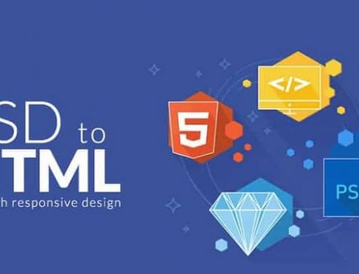 Netpyx | Codeigniter web development company